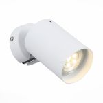 Точечные светильники ST Luce SL597.501.01 Fanale