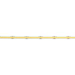 Светодиодные ленты ST Luce ST018.312.20