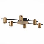 Люстры ST Luce SL1207.402.06 VEROLI
