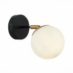 Настенные светильники Evoluce SLE220401-01 FORLI