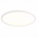 Потолочные светильники ST Luce ST601.542.48 ST601