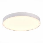 Потолочные светильники ST Luce ST606.532.96