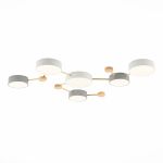 Люстры Evoluce SLE600102-06 Dossena