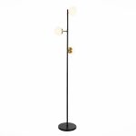 Торшеры Evoluce SLE220405-03 FORLI