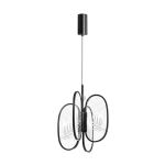 Подвесные светильники Odeon Light 6665/38L PIUMA