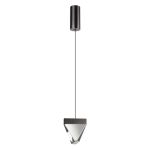 Подвесные светильники Odeon Light 6677/5L Ray