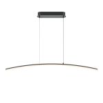 Подвесные светильники Maytoni MOD243PL-L18BK Light Reflection