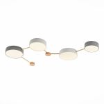 Потолочные светильники Evoluce SLE600102-04 Dossena