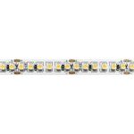 Светодиодные ленты ST Luce ST016.314.20 ST016