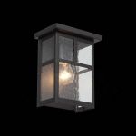 SL079.401.01 Светильник уличный настенный ST-Luce Темный кофе/Прозрачное кракелированное стекло E27 1*60W GLAZGO