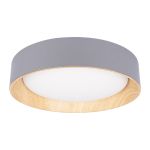 Потолочные светильники Loft It 10202 Grey Coin