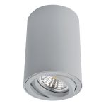 Точечные светильники Arte Lamp A1560PL-1GY A1560