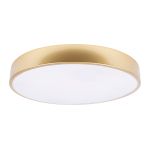 Потолочные светильники Loft It 10228/A Flims