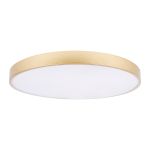 Потолочные светильники Loft It 10228/B Flims