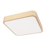 Потолочные светильники Loft It 10228/C Flims