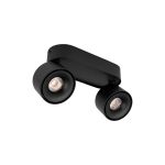Точечные светильники Loft It 10323/2A Black Focus