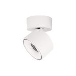 Точечные светильники Loft It 10323/A White Focus
