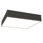 Потолочные светильники Maytoni C032CL-36W3K-SQ-B Zon