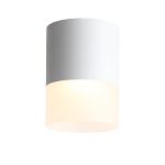 ST100.542.15 Светильник потолочный Белый LED 1*15W 4000K 1 170Lm Ra&gt;80 120° D118xH150 170-240V Накладные светильники