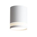 ST101.542.12 Светильник потолочный Белый LED 1*12W 4000K 936Lm Ra&gt;80 120° IP20 D79xH100 170-240V Накладные светильники