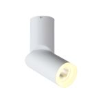 ST107.502.10 Светильник потолочный Белый LED 1*10W 3000K 780Lm Ra&gt;80  D50xH168 170-240V Накладные светильники