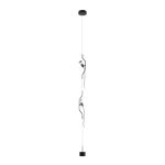 Подвесные светильники Loft It 10346/2 Black Parentesi