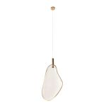 Подвесные светильники Loft It 10349/M Leaf