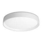 Потолочные светильники Citilux CL751350G BOSS