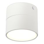ST651.502.01 Светильник потолочный Белый GX53 1*50W IP20 D85xH77 220V Без ламп Потолочные светильники