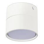 ST651.502.01 Светильник потолочный Белый GX53 1*50W IP20 D85xH77 220V Без ламп Потолочные светильники