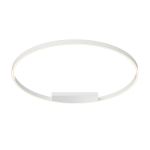 Потолочные светильники Maytoni MOD058CL-L65WK Rim