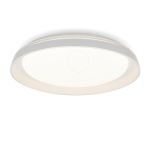 Потолочные светильники Citilux CL752450G MEGA