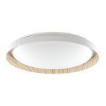 Потолочные светильники Citilux CL752452G MEGA