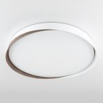 Потолочные светильники Citilux CL754450G BONNY