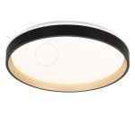Потолочные светильники Citilux CL753451G ENZO