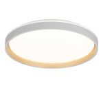 Потолочные светильники Citilux CL753510G ENZO