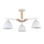 Люстры Lumion 8095/3C COLANGE