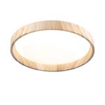 Потолочные светильники Citilux CL753352G ENZO