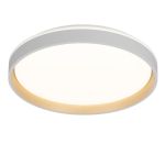 Потолочные светильники Citilux CL753450G ENZO