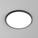 Потолочные светильники Denkirs DK6522-BK THIN