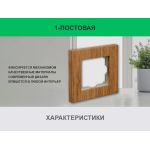 Рамка 1 пост (дуб) 3166 Frame-01 oak для Werkel
