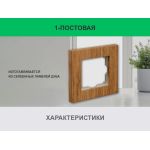 Рамка 1 пост (дуб) 3166 Frame-01 oak для Werkel