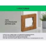 Рамка 1 пост (дуб) 3166 Frame-01 oak для Werkel