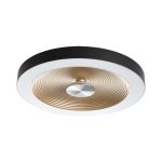 Потолочные светильники Sonex 7753/25L QUANTUM