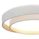 *SLE6009-502-01 Светильник потолочный Белый/Белый LED 1*50W 3000K/4000K/6000K