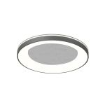 Потолочные светильники Escada 628/A LED
