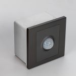 Настенные светильники Citilux CLR005KS1 Skally