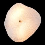 Настенные светильники Crystal Lux CONTESSA AP2.2 contessa