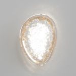Настенные светильники Crystal Lux FELICIDAD AP9W LED FELICIDAD