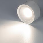 Точечные светильники Citilux CL743060N Ровер